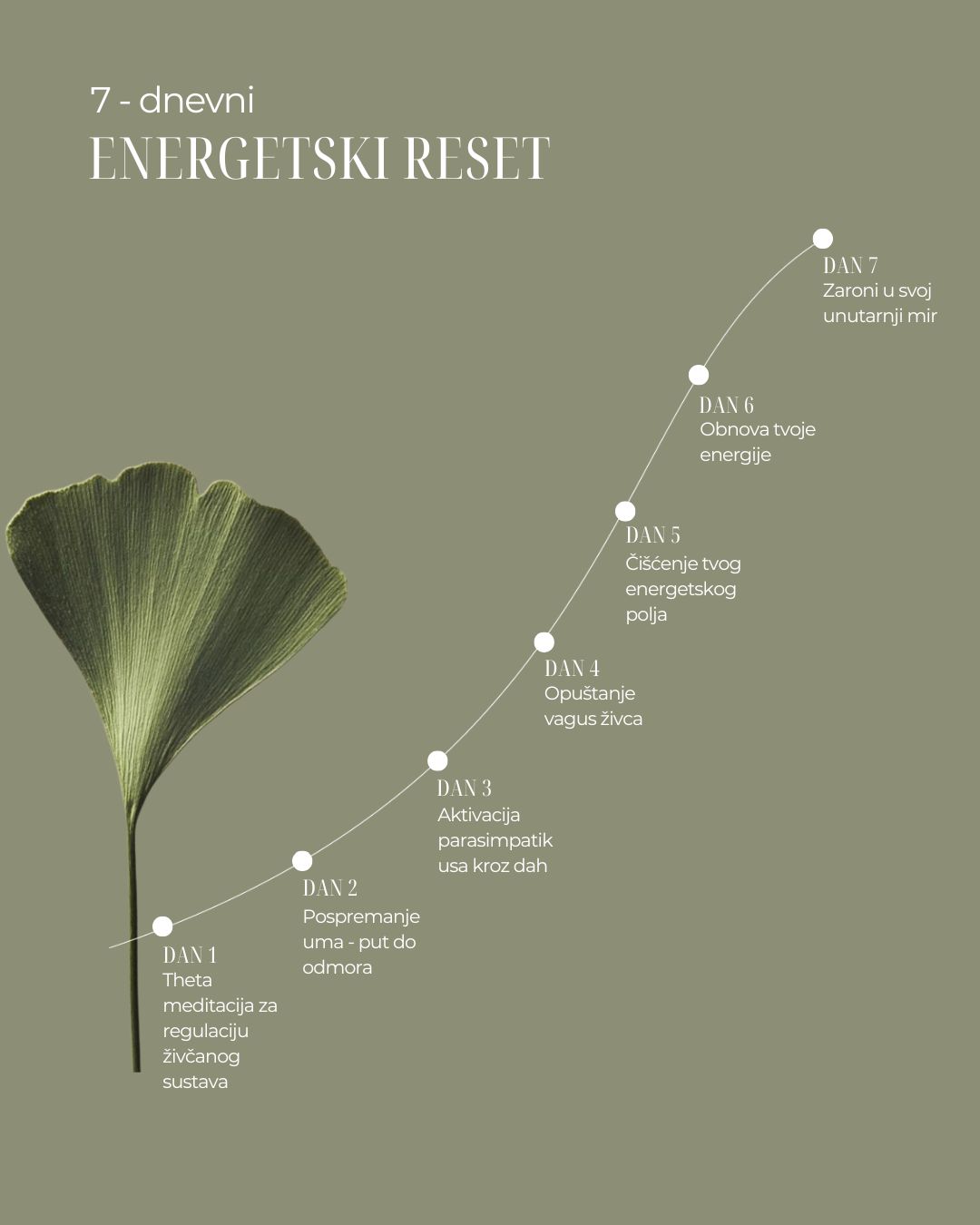 energetski reset putm